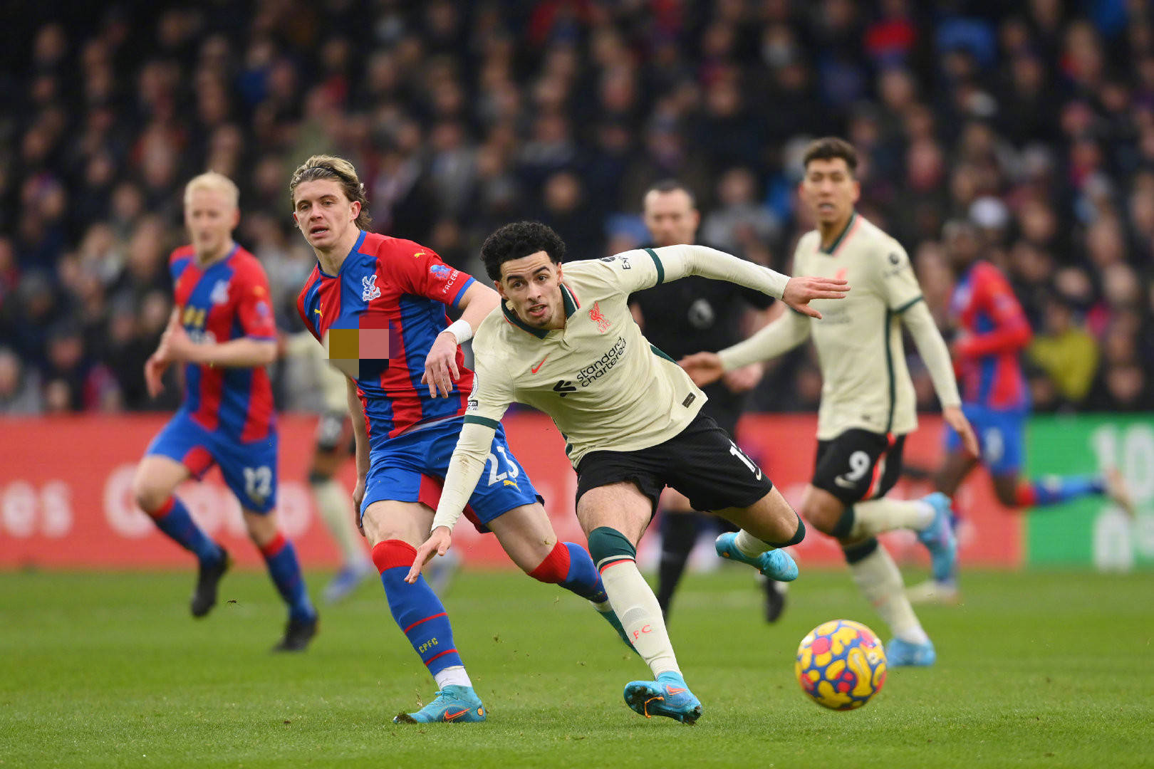 更是年轻球 更是年轻球